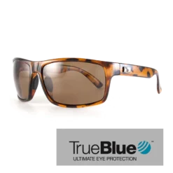 Sundog Fringe Eyeware - True Blue - Brown Demi / Brown